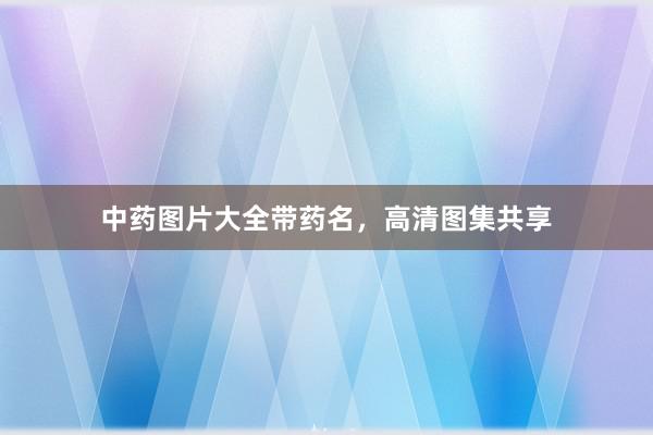 中药图片大全带药名，高清图集共享