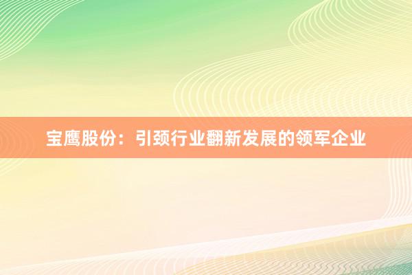 宝鹰股份：引颈行业翻新发展的领军企业