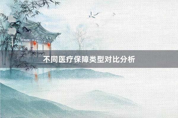 不同医疗保障类型对比分析