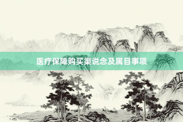 医疗保障购买渠说念及属目事项