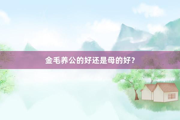 金毛养公的好还是母的好？