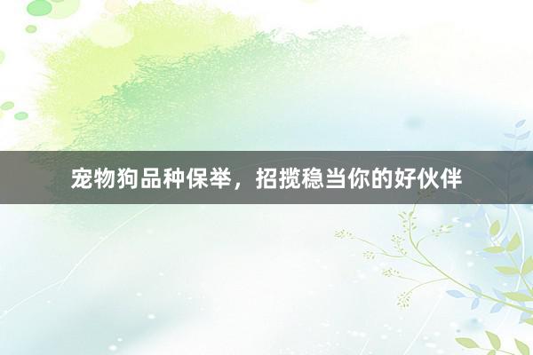 宠物狗品种保举，招揽稳当你的好伙伴